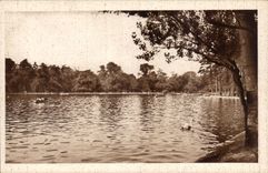 Paris CPA Au bois de Boulogne Un coin du lac interieur 