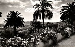 Fatty CPSM Its exotic vegetation