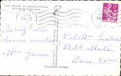 Fetthaltiges CPSM seine exotische Vegetation