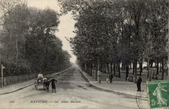 CPA Bayonne marine ales Ass Donkey Mule