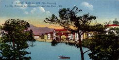 CPA St jean de Luz Vieilles maisons de Ciboure a travers les pins