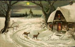 CPA Fantasy Bonen year