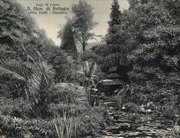 CPA Italien Italien Lago di Como S Gion Di Bellagio-Landhaus Trotti Giardina