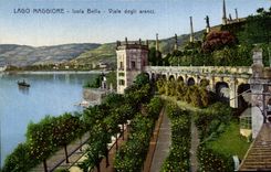CPA Italien Italien Lago Maggiore Isola blokte Viale degli Aranci