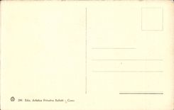 CPA Italien Italien Como Duomo E teatro socaile