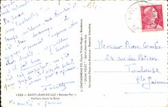 CPM St Jean de Luz Voiliers dans la baie hobbycat