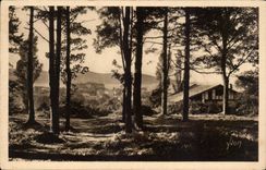 CPA Hendaye the wood of love