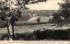 CPA Cambo les Bains Seen from of the mountain of the ladies