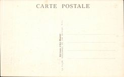 CPA Nice the terrace of the sun and the Swiss hotel