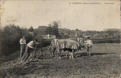 CPA Orthez Tilling Oxen Coach TOP