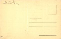 CPA Italien Italien Firenze Palazzo Vecchio II Cortile