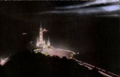CPSM Lourdes the basilica illuminee