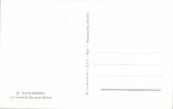 CPSM Good Water the cascade of the large beech