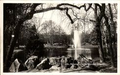 CPSM Nantes the botanical garden the lake