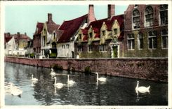 CPA Belgium Bruges Green Quay House of the pelican