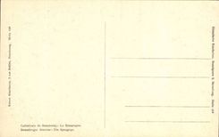 CPA Cathedral of Strasbourg the synagog