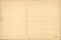 CPA Gruss vom Rhein Die Pfalz EIB Kaub