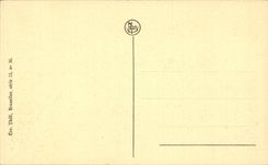 CPA Belgium Bruges green Quay