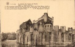 CPA Belgium Ghent the castle of the counts de Flandre