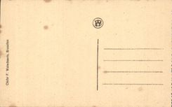 CPA Belgium Ghent the castle of the counts de Flandre