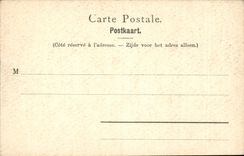 Belgie Belgium Brussels CPA the column of congers