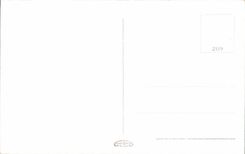 CPA Italy Italia Roma Piazza del Fopolo