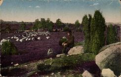 CPA Fantasy Landscape with the countryside Shepherd and his sheep