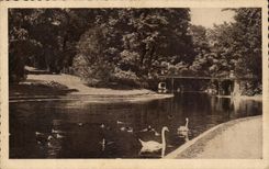 CPA Clermont Ferrand the lake of the Lecoq garden