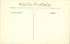 Chenonceaux CPA Le chateau Les sphinx