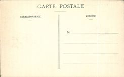 Amboise CPA Le chateau Facade Louis XII