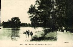 CPA Lyon With the park of the gold head On the lake