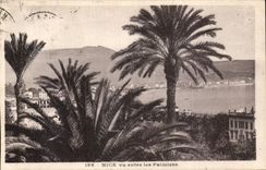 Nice CPA Seen between the palm trees