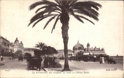 Nice CPA the walk of the English the pier and the Ruhl hotel