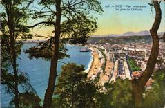 Nice CPA Seen from between the pines of the castle