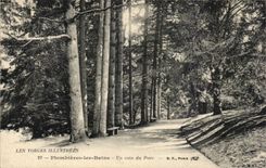 CPA Plombieres les Bains a corner of the park