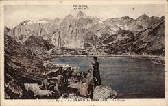 CPA With large St Bernard the lesson dogs Dog dog Dog