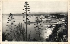 CPA Nice Seen on the port since the Boron mount