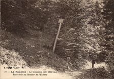 CPA the Sickle Colomby (1691m) Under wood with the path of the spine