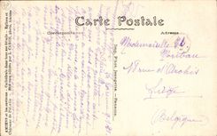 CPA Amiens the cathedral as the crow flies