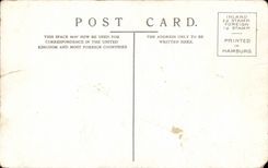 CPA Great Britain London London From the gardens off the zoological society off london Regent' S park Common will herons