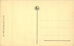 CPA Brussels Parks north and Place Roglier