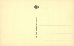 CPA Brussels Tomb of the unknown soldier (lion)