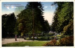 CPA Bad Langenschwalbach Liegeplatz am Weinbrunnen