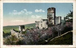 CPA Fruhling amndt Rhein Burg Lahneck