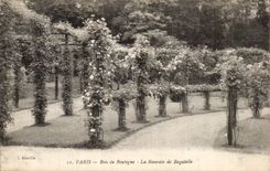Paris - 16 - Bois de Boulogne - Roseraie de Bagatelle - CPA 