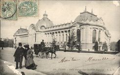 Paris - 8 - Petit Palais of the Champs Elysees - CPA