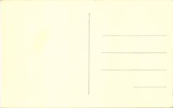 CPA Nice the cave of the garden of king Albert 1st