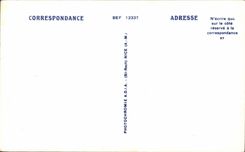 CPA das Mass des Azurblaus bluhte Garten