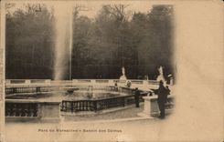 Versailles - Park of Versailles - Basin of the Domes - CPA
