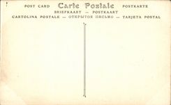 Lourdes - Gave of Pau and Chataeu Fort - CPA